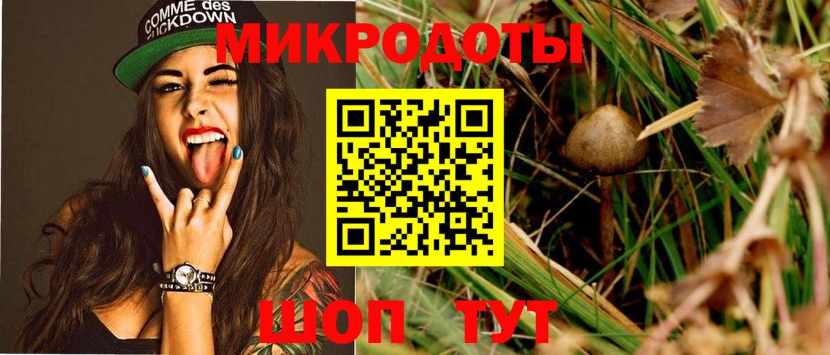 Псилоцибиновые грибы Cubensis Оренбург